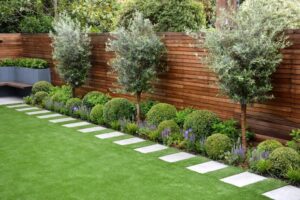Backyard Design In Frisco TX