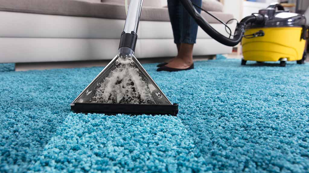 Professional Carpet Cleaners